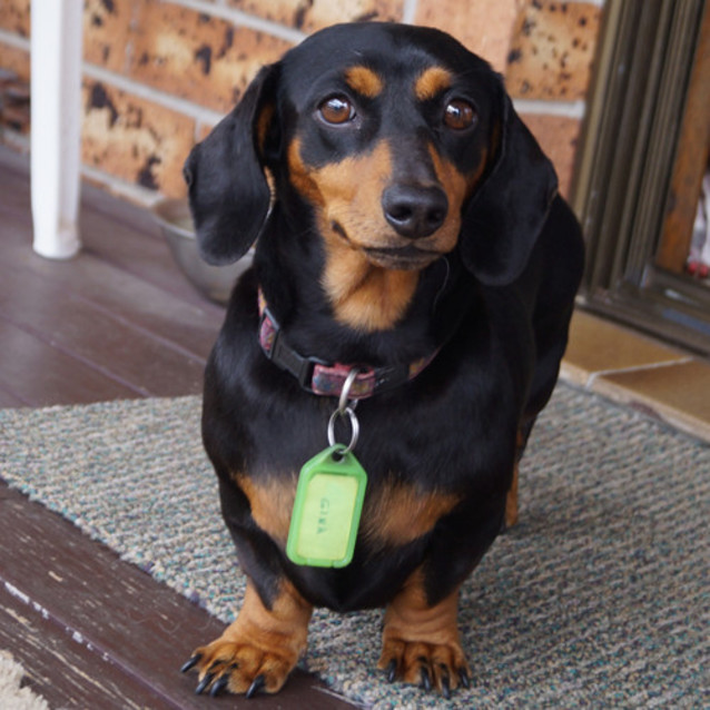 Photo of Gina