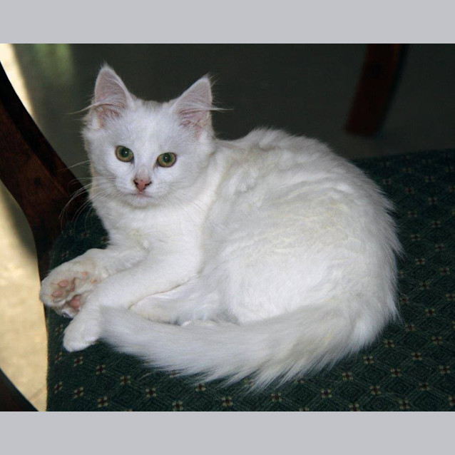 Photo of Betsy