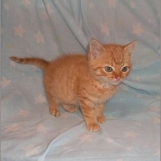 Photo of Harriet