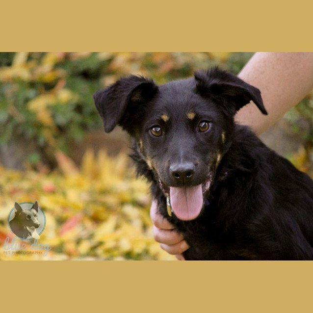 Photo of Jake (D679)