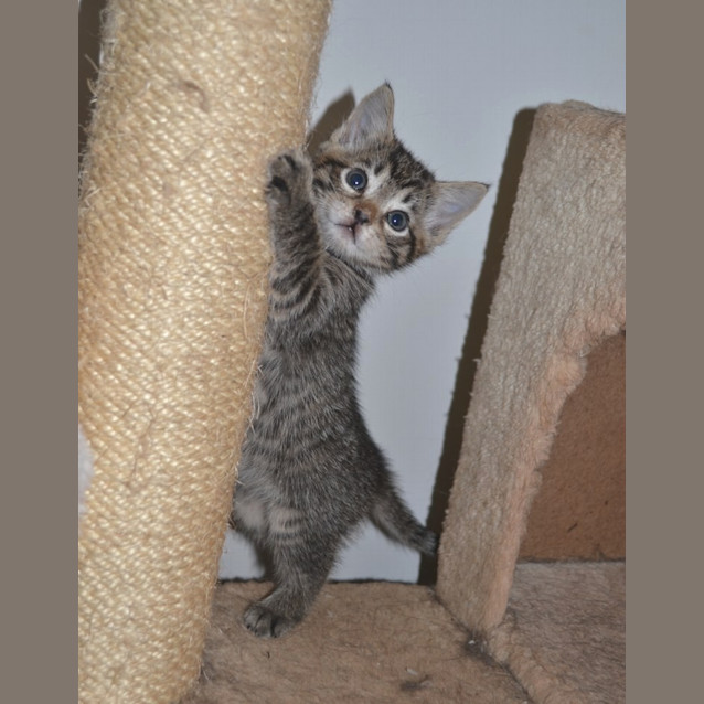 Photo of Maisey(nc294)