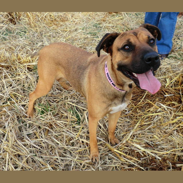 Photo of Ruby *On Trial In Her New Home*