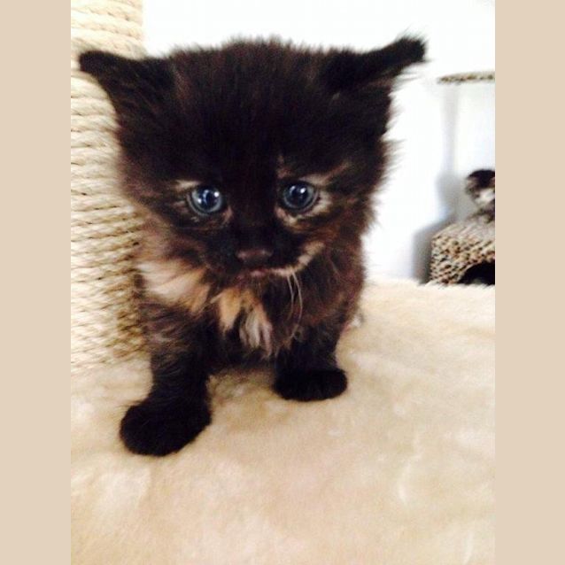 Photo of Zoe