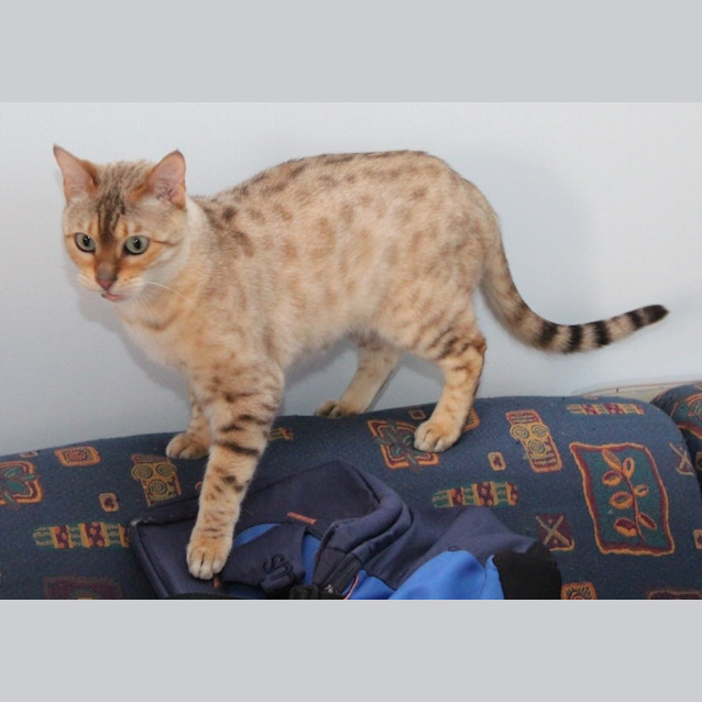 Photo of Xena