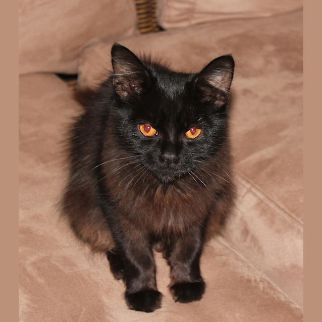 Photo of Duke