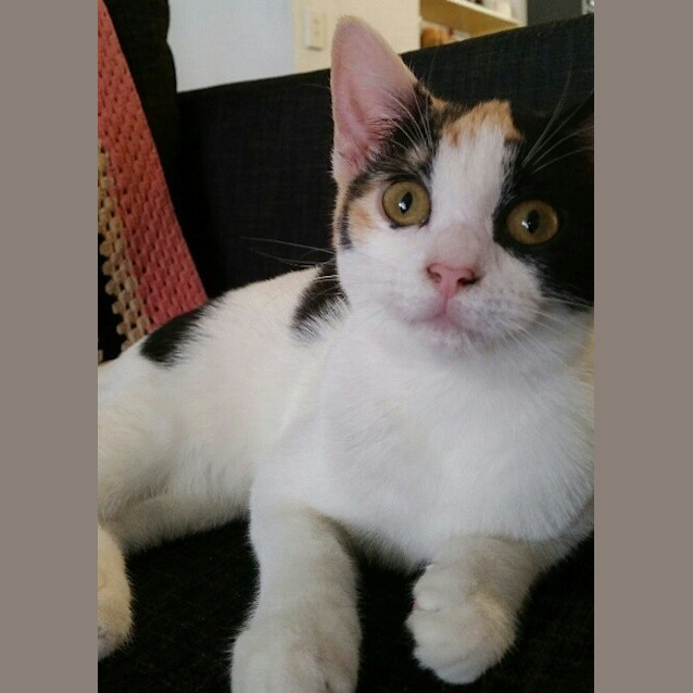 Photo of Isobel