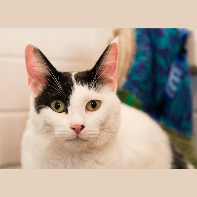 Photo of Rosie