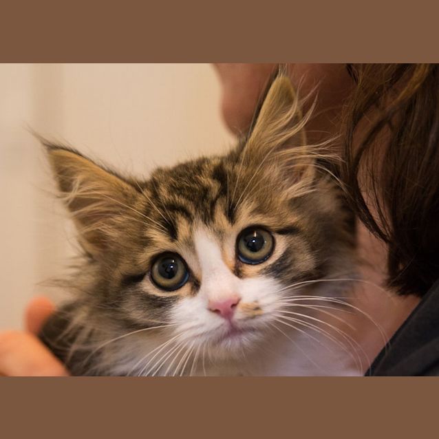 Photo of Ragity