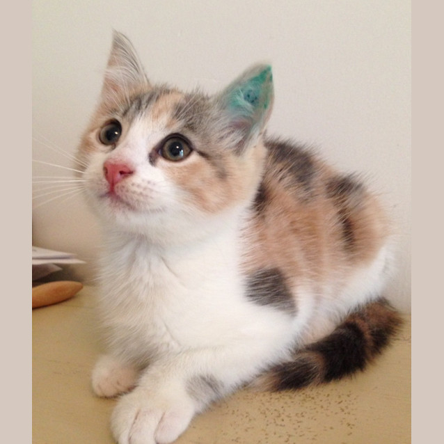 Photo of Chloe