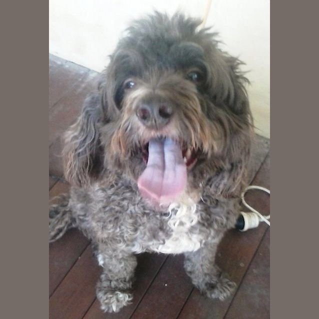 Photo of Golly