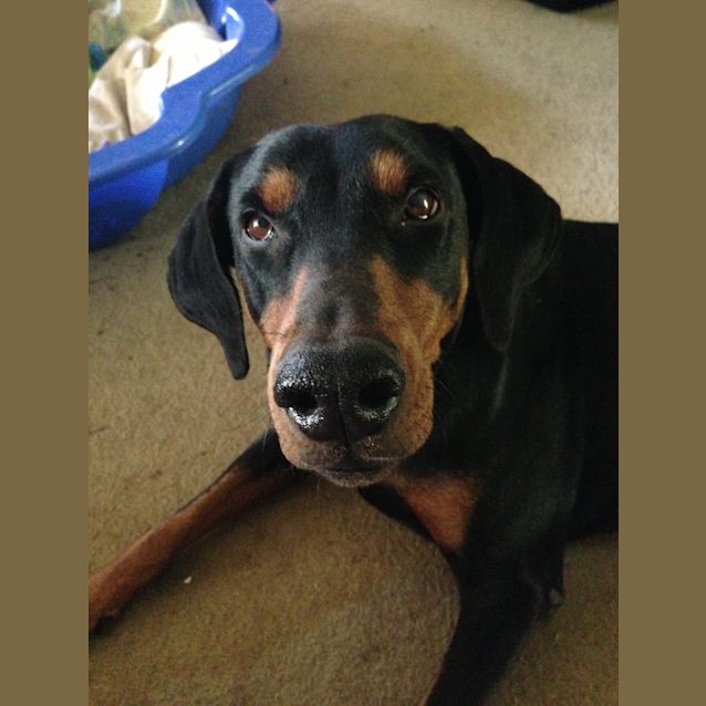 Photo of Tarsha