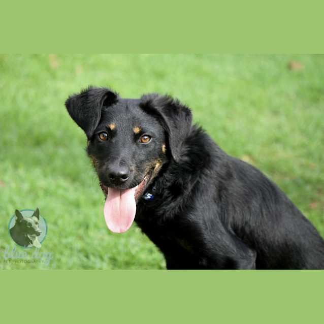 Photo of Jake (D679)