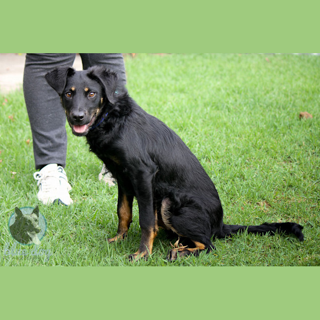 Photo of Jake (D679)