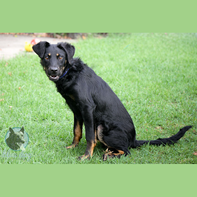 Photo of Jake (D679)