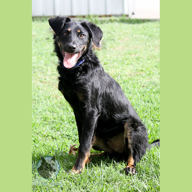 Photo of Jake (D679)