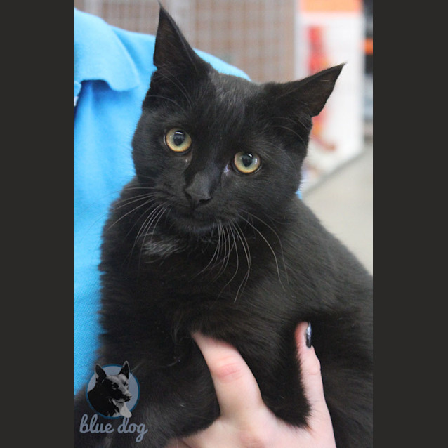 Photo of Fran (C680)