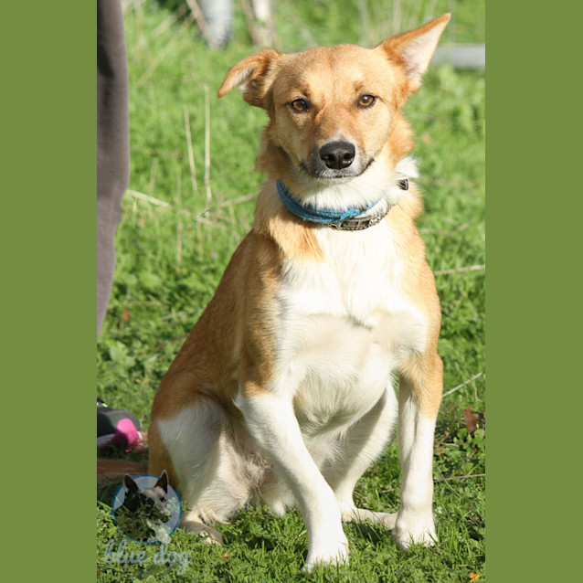 Photo of Harry (D664)