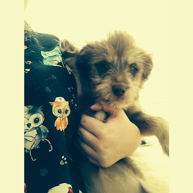 Photo of Lilo