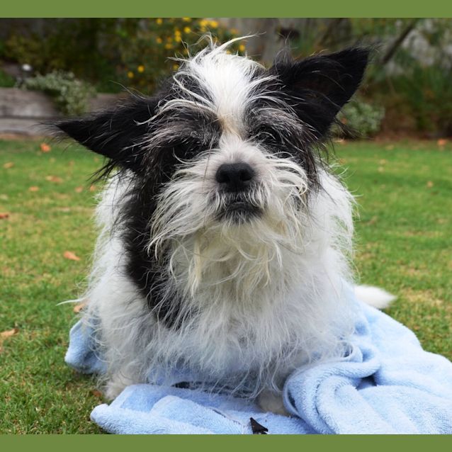 Photo of Benny Dl014