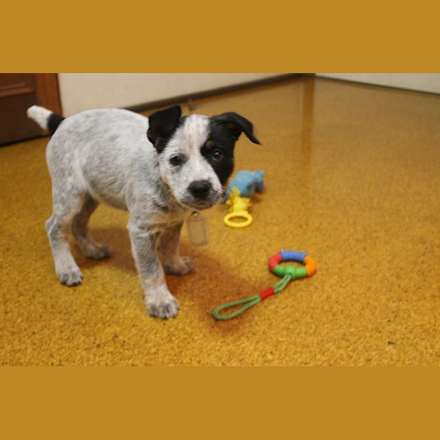 Photo of Mischa   Expressions Of Interest