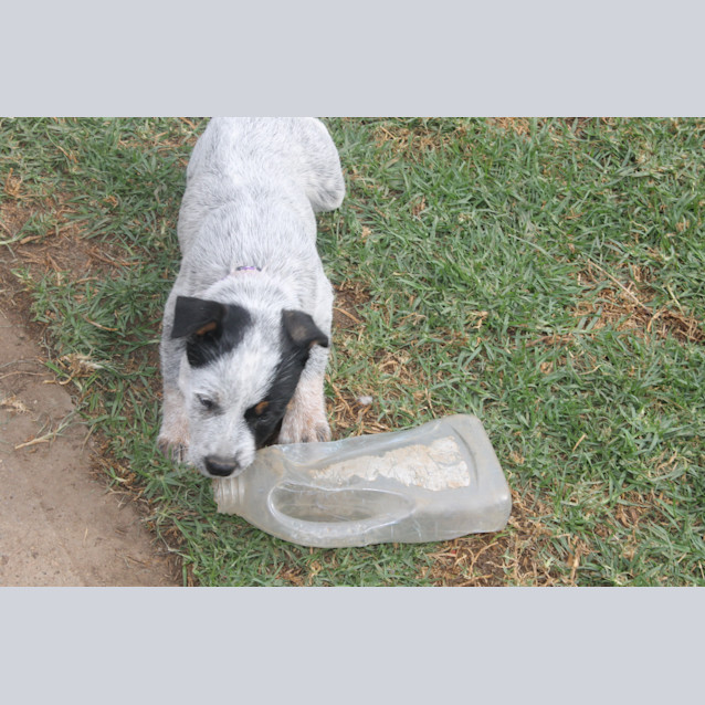 Photo of Mischa   Expressions Of Interest