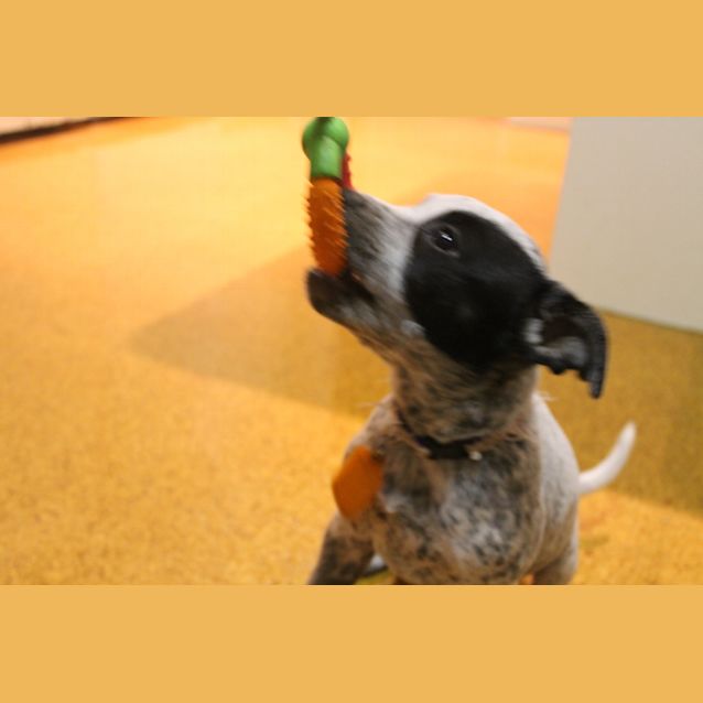 Photo of Maddie   Expressions Of Interest