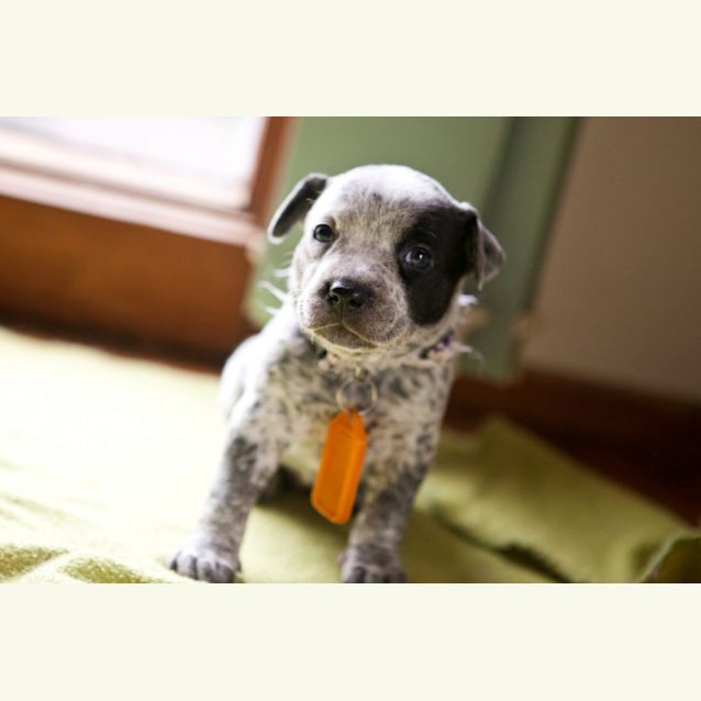 Photo of Maddie   Expressions Of Interest