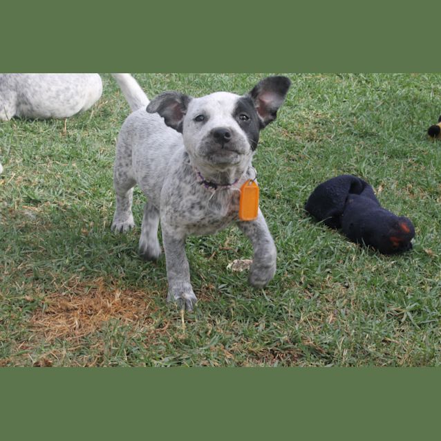 Photo of Maddie   Expressions Of Interest