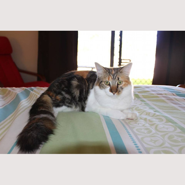 Photo of Missy