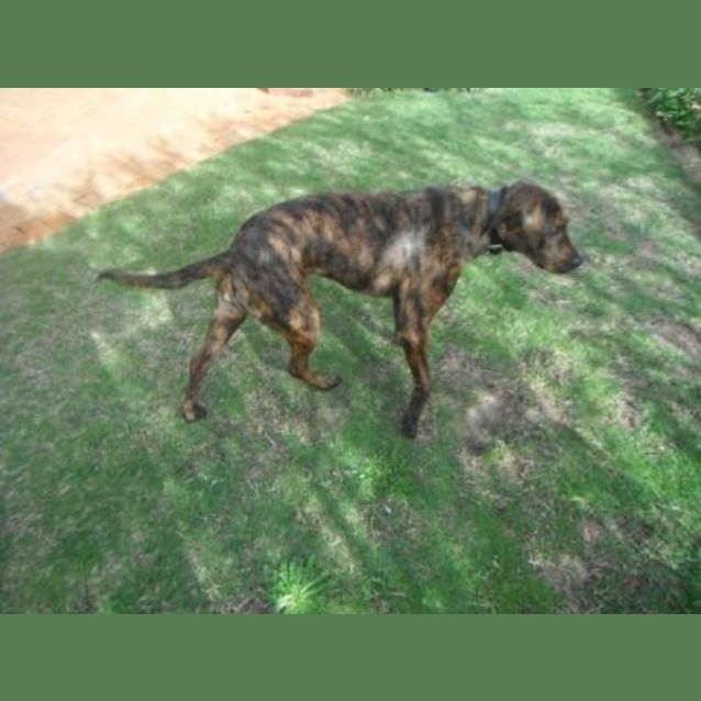 Photo of Missy