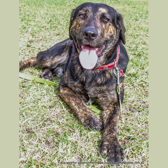 Photo of Turbo (On Trial 30/8/14)