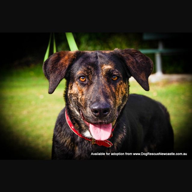 Photo of Turbo (On Trial 30/8/14)