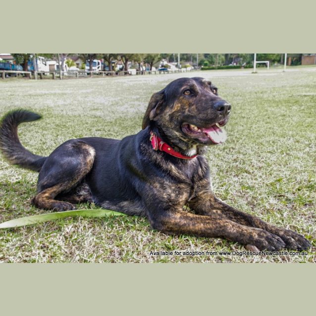 Photo of Turbo (On Trial 30/8/14)