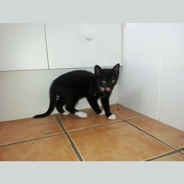 Photo of Myka