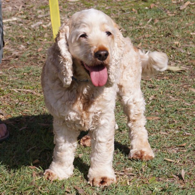Photo of Molly