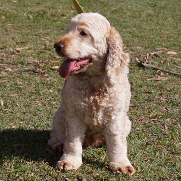 Photo of Molly