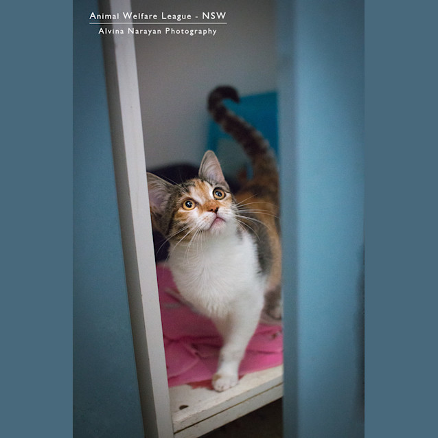 Photo of Charlee Girl