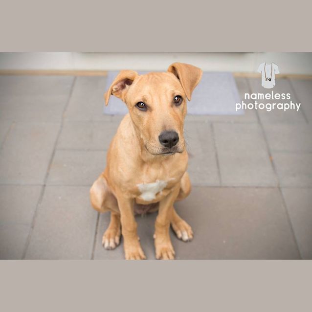 Photo of Skyla *On Trial In Her New Home*