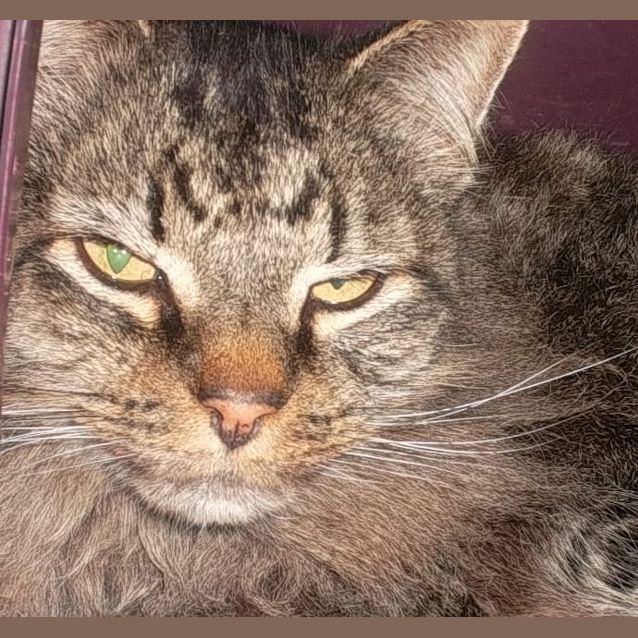 Photo of Emmett