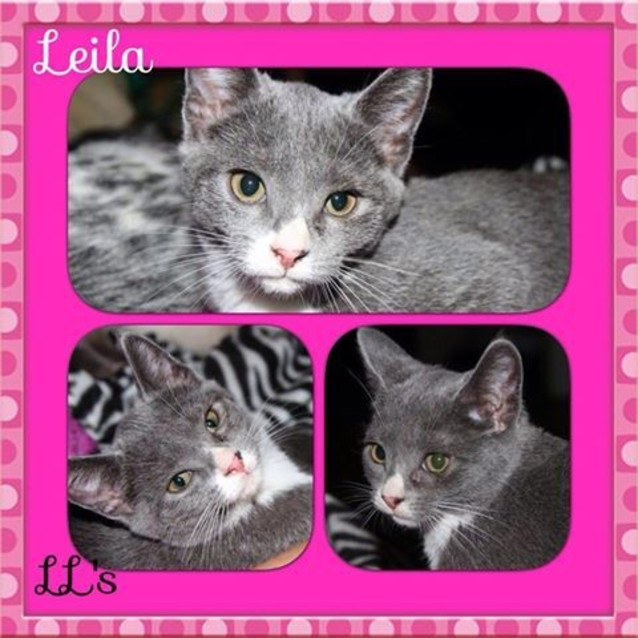 Photo of Leila 