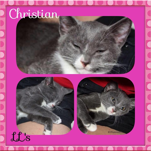 Photo of Christian 