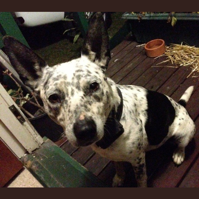 Photo of Storm