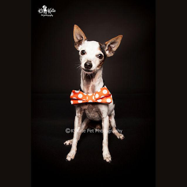 Photo of Roxy And Rhino