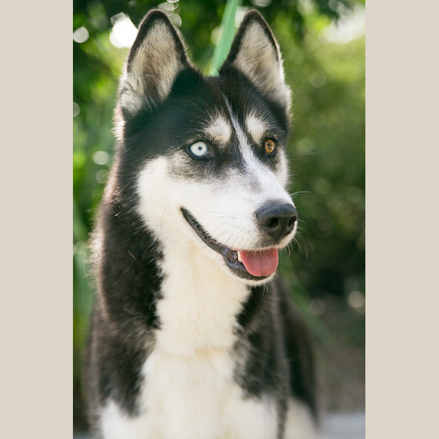 Photo of Kyra