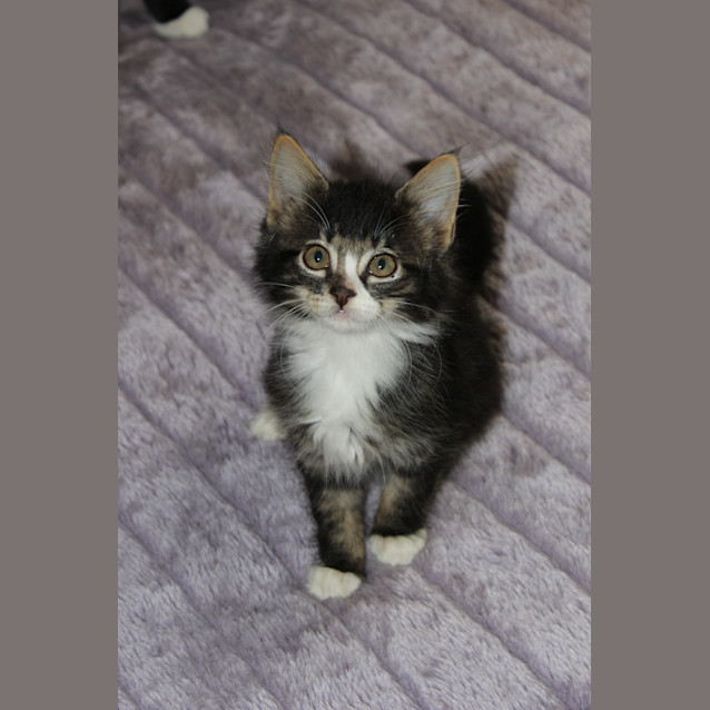 Photo of Eloise 