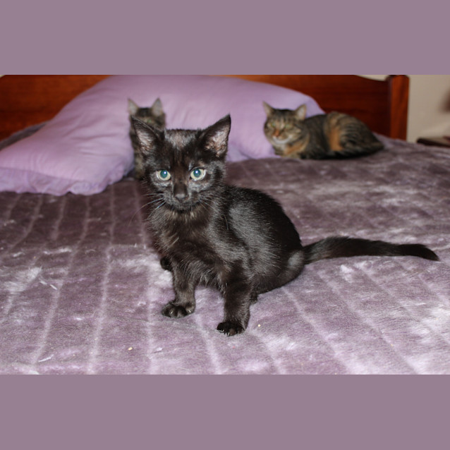 Photo of Edwina