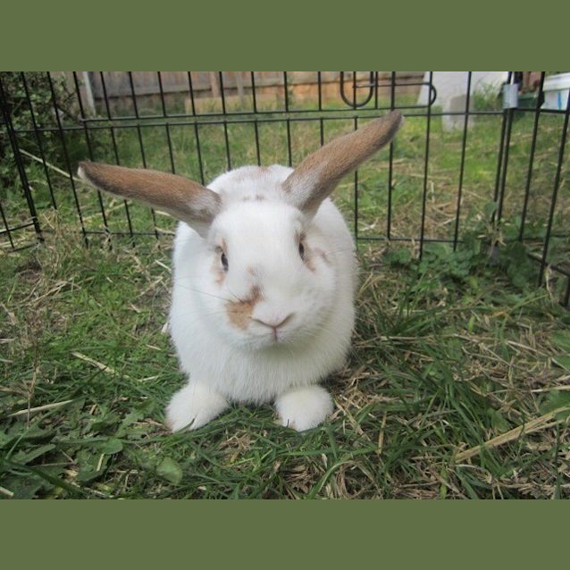 Photo of Elvira And Carly