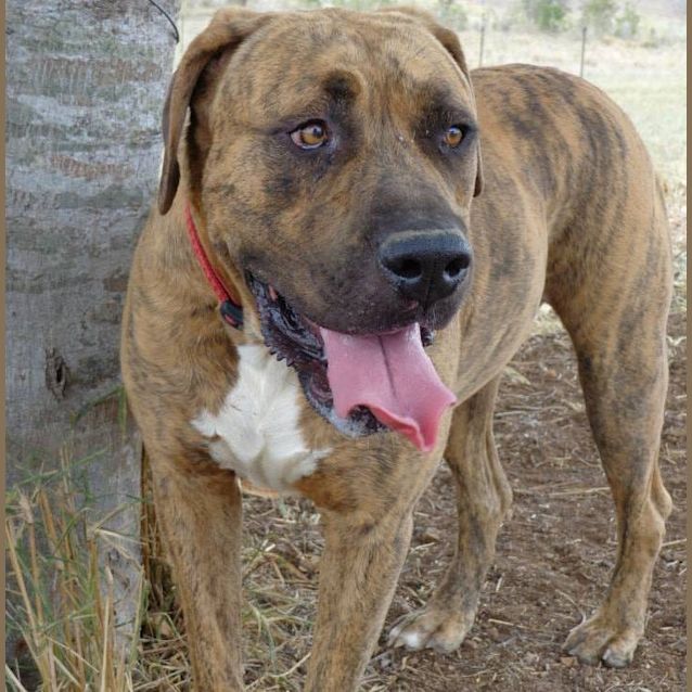 Photo of Duke