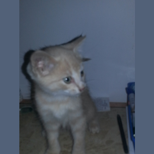 Photo of Thomas