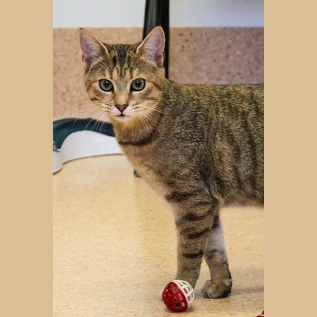 Photo of Adeline